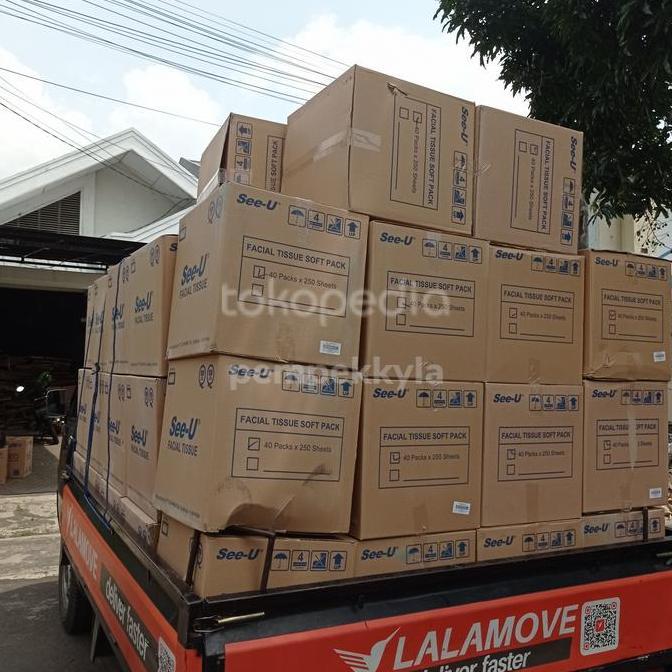 Clxs- Tissue See U 250 Sheet 1 Dus