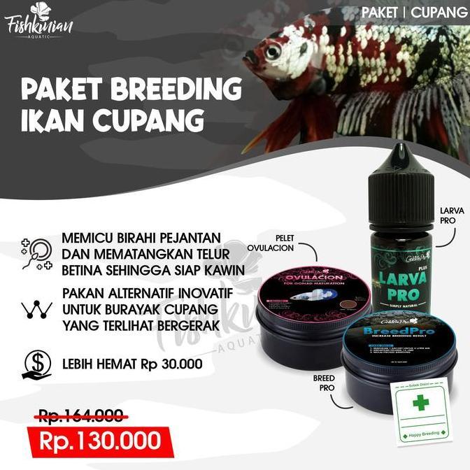 Yujitaro- Paket Breeding Ternak Ikan Cupang Betta