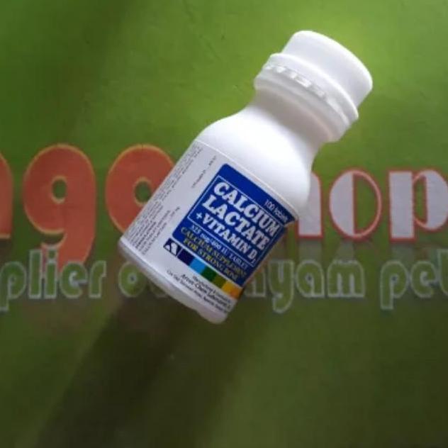 calcium lactate obat kalek ayam tarung philipine vitamin tulang