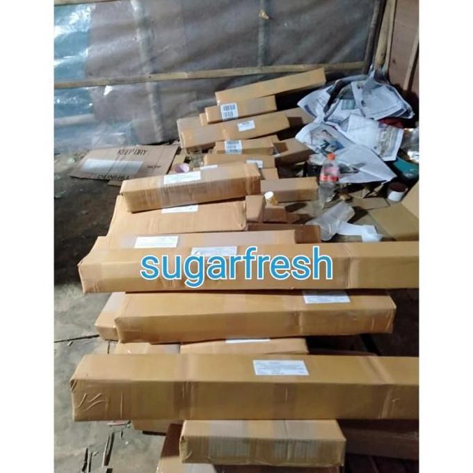 Bibit belimbing wuluh - Pohon belimbing wuluh