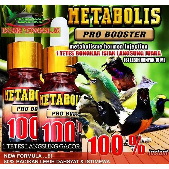 Metabolis proboster 100% high botol kaca 10ml  Vitamin Penggacor Burung Atasi Macet