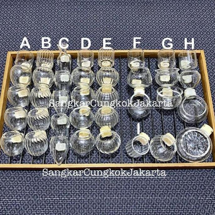 Cepuk Kaca Cungkok Kecil Pleci Kolibri Sogon Finch set 5pcs