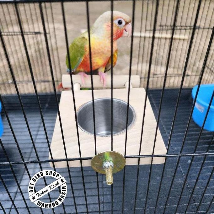 Tempat makan / minum bermain burung parrot natural wood