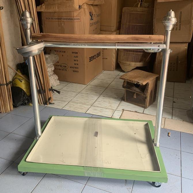 tangkringan burung kakatua nuri