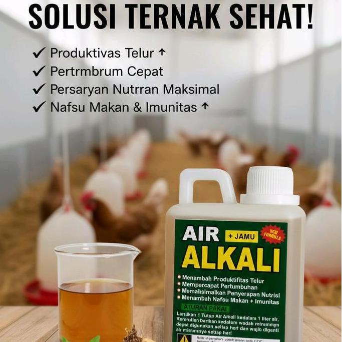 PAKET 8 AIR ALKALI JAMU TERNAK SEHAT 500 GRAM