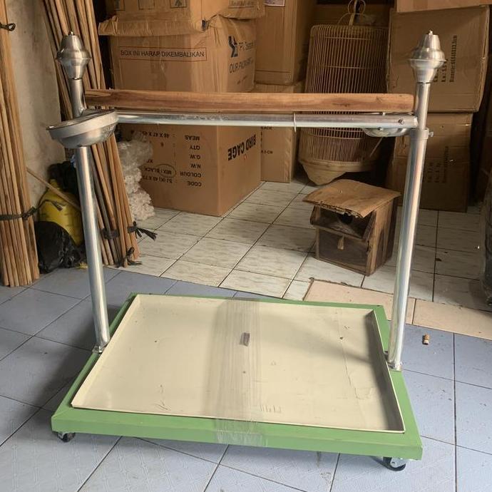 tangkringan burung kakatua nuri