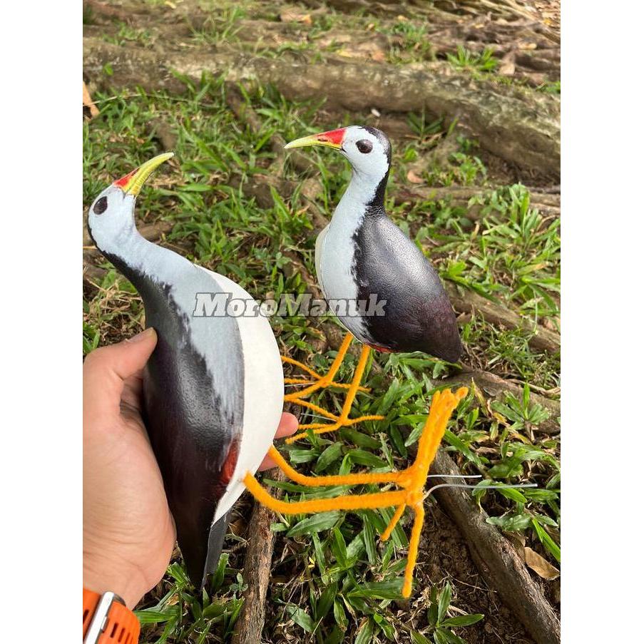 jontrot ruak-ruak - kareo patung ruak-ruak - Pemikat Burung sawah