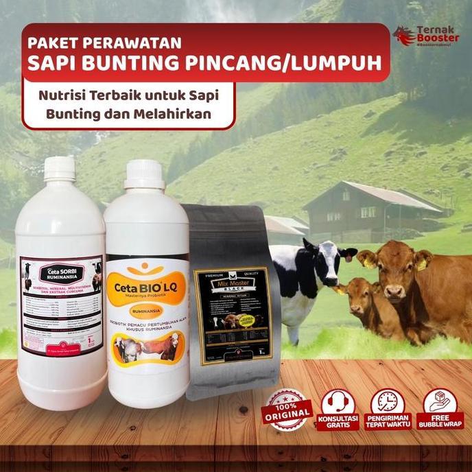 PAKET PERAWATAN SAPI BUNTING PINCANG/LUMPUH - BLACK MH 1KG, CETA BIO LQ, CETAVIT SORBI