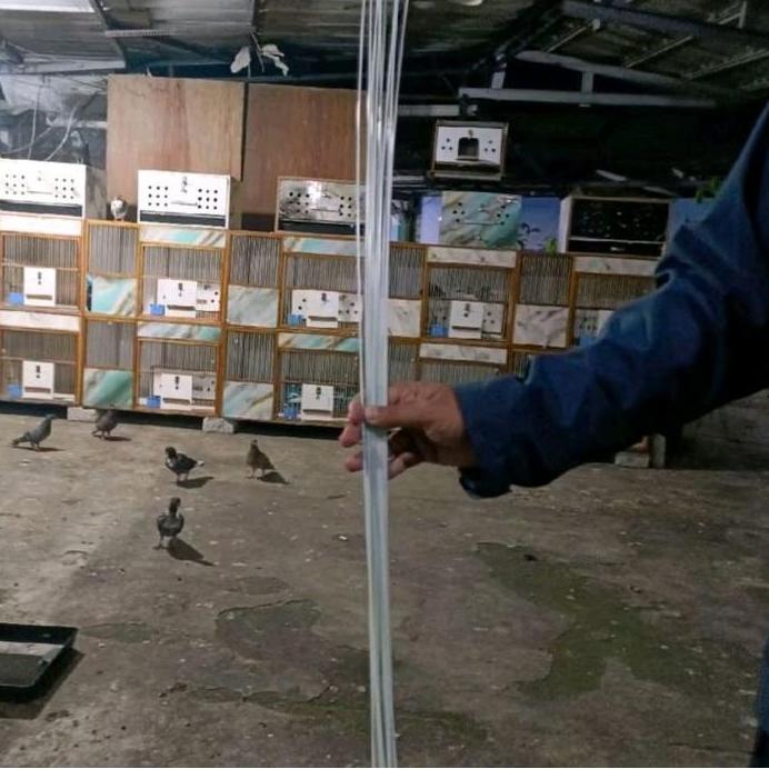 JERUJI FIBER UNTUK UNTUK DONGDANG KANDANG MERPATI PANJANG 1METER PAKET 11PCS peningkat imun cair san