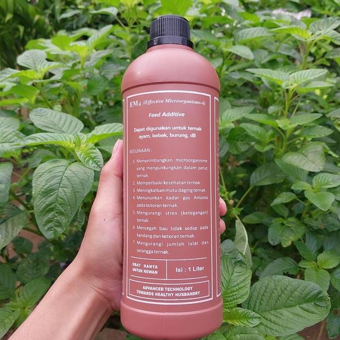 EM4 PETERNAKAN EM4 TERNAK EM4 COKLAT KEMASAN 1 LITER PROBIOTIK KESEHATAN TERNAK