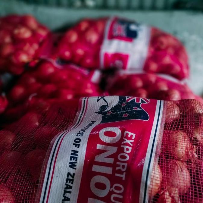 jual bawang Bombay besar karungan (+-20kg) TA