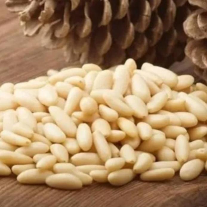 Kacang Pinus Raw kemasan 100gram