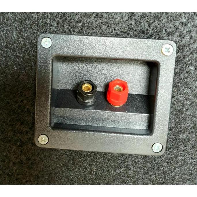 Ready Box Speaker 12in Double