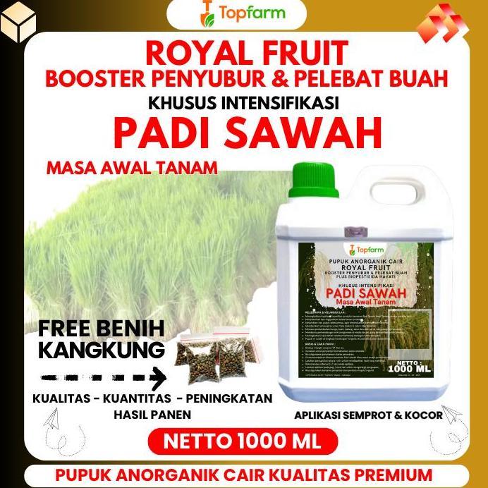 Pupuk Padi Terbaik / Pupuk Awal Tanam Padi Sawah / Pupuk Penyubur Tanaman Padi / Pupuk Hijau Daun Pa