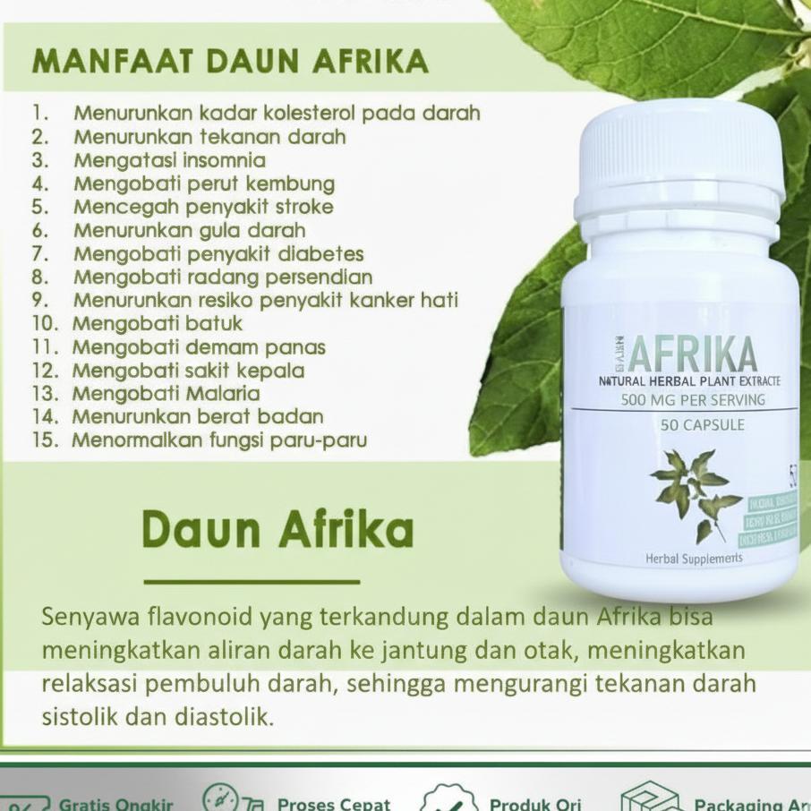 Daun Afrika Isi 50 Kapsul Herbal Stroke Premium - Obat Strok Jamu Kolesterol Hipertensi Kebas Kesemu