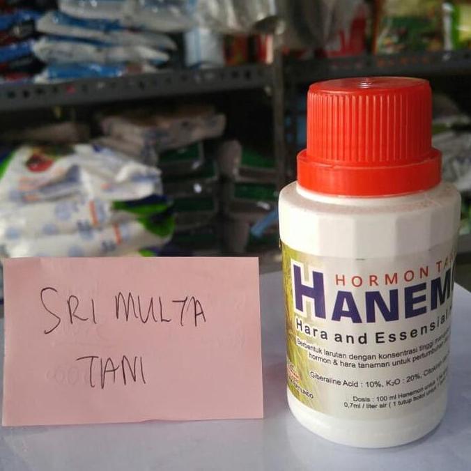 Hormon Tanaman Giberelin Acid - Hanemon