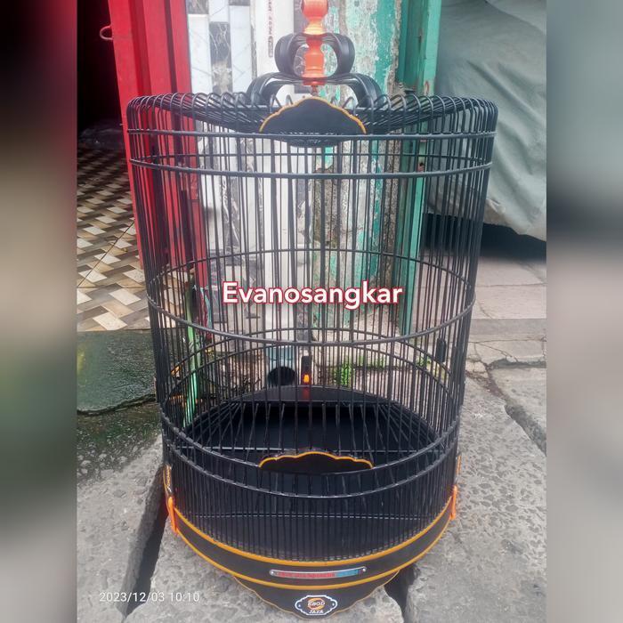 kandang burung murai no 2 (Ebod jaya soloan hitam doop)