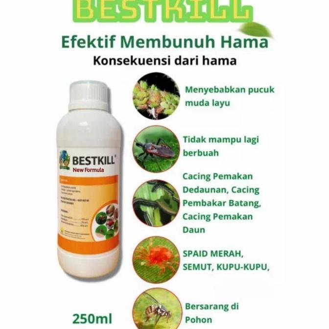 Insektisida Bestkill Basmi Segala Jenis Hama Hama Pada Tanaman
