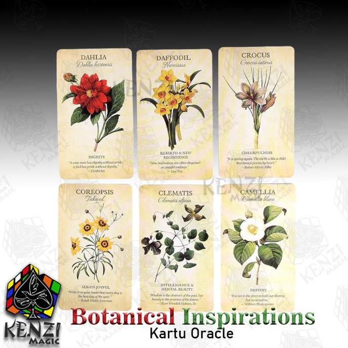 Kartu Oracle Botanical Inspirations Oracle Decks