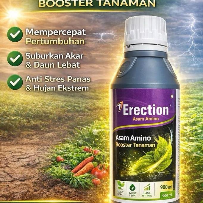 Pupuk Asam Amino ERECTION untuk Tanaman Padi Cabai dan Tomat Zat Aktivator Tanaman 900 ml PAN