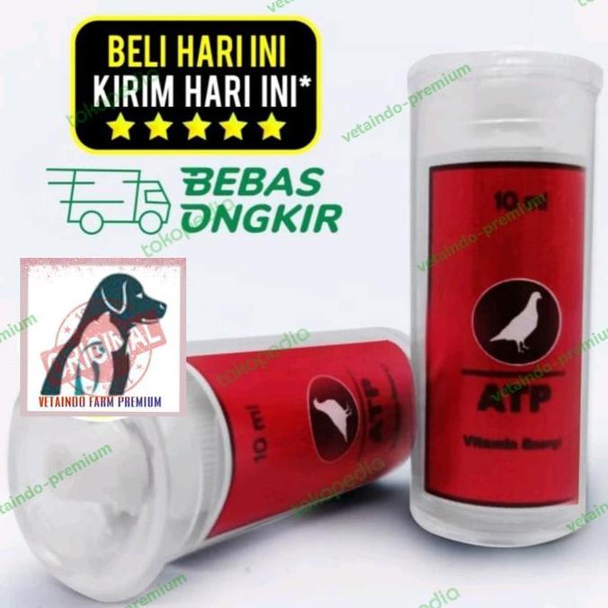 TERLARIS ATP VITAREST OBAT DOPING BURUNG MERPATI SUPLEMEN MENAMBAH STAMINA DARA gratis ongkir