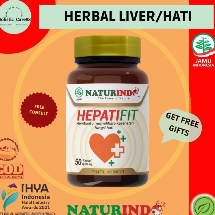 Obat Hepatitis Herbal Kurang Darah Letih Lesu Lancar Haid Biduran Obat Sakit Liver Herbal Hepatifit