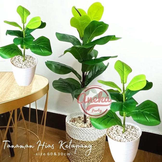 Tanaman Hias Artificial Ketapang / Pohon Plastik Daun Ketapang / Tanam