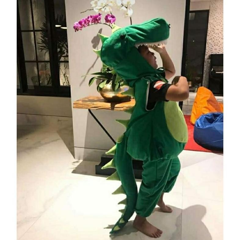 Diskon Kostum Dinosaurus/Kostum Dino/Kostum Binatang/Kostum Binatang Anak/Kostum Hewan/Kostum Dino A