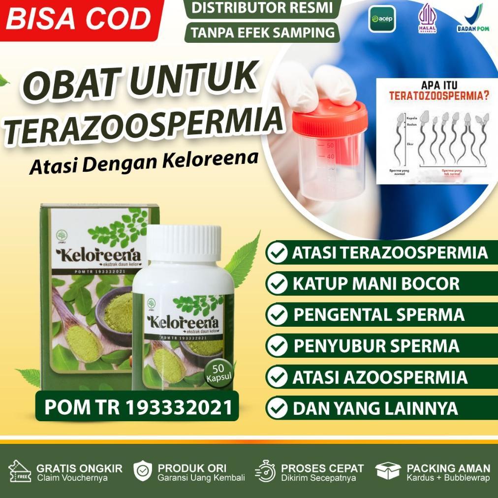 (Terbaru) Obat Teratozoospermia Katup Mani Bocor Pengental Penyubur Sperma Azoospermia Perbaikan Kua