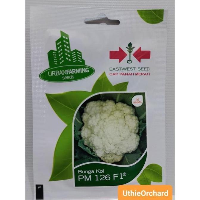 Benih Panah Merah - Bunga Kol PM 126 F1