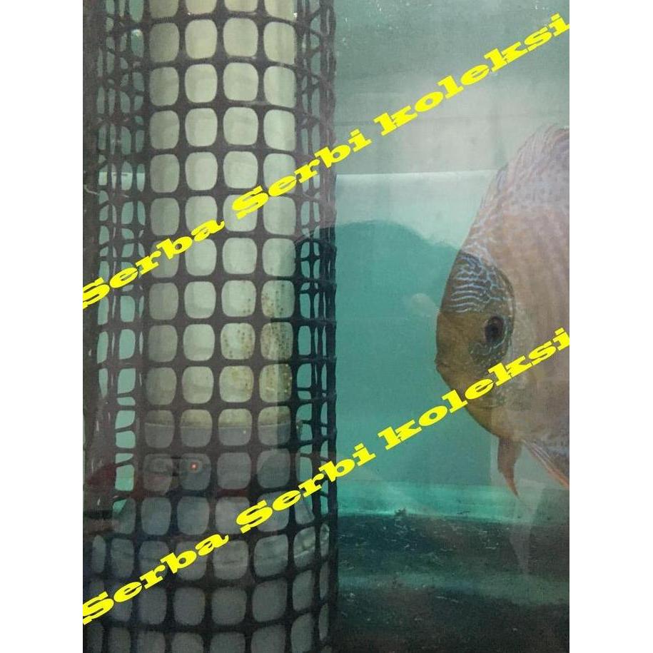 Kawat Jaring Plastik HDPE bentuk kotak 1/2 inch per ROLL KUN