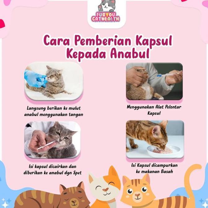 Nespt- Sesak Nafas Kucing Kapsul Kucing Sesak Nafas Kucing Grok Grok