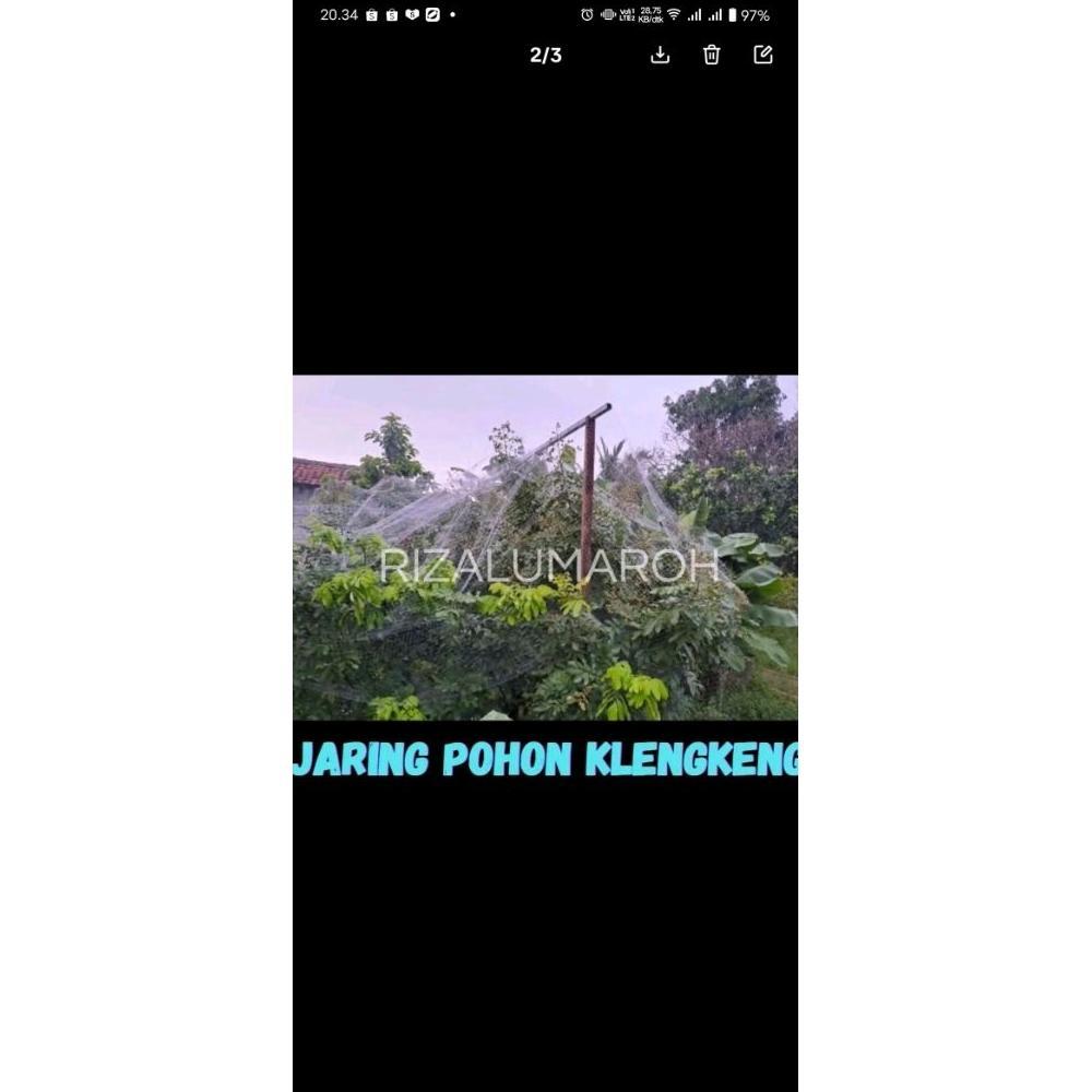 Promo Cod Jaring Pelindung Tanaman Dari Hawa Kelelawar Dari Burung Pelindung Buah Tanaman Klengkeng 