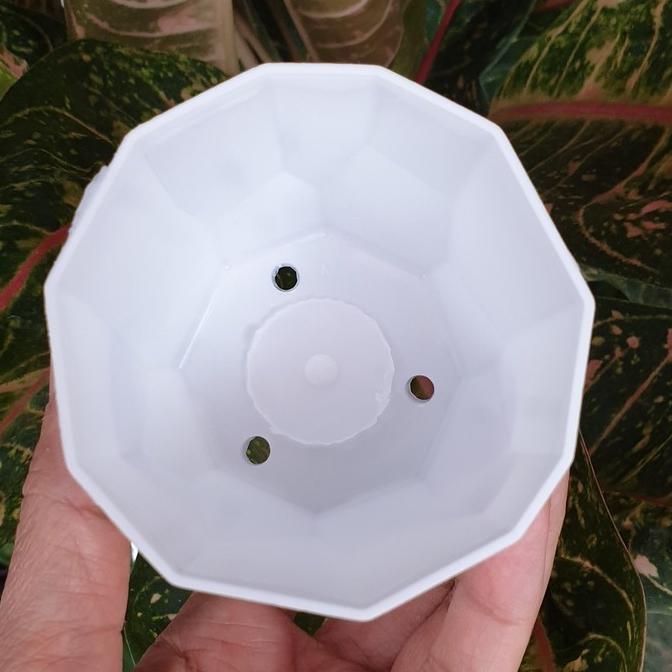 Promo Cod Pot Permata Putih 8Cm Pot Kecil, Pot Kaktus, Pot Mungil Cantik ><
