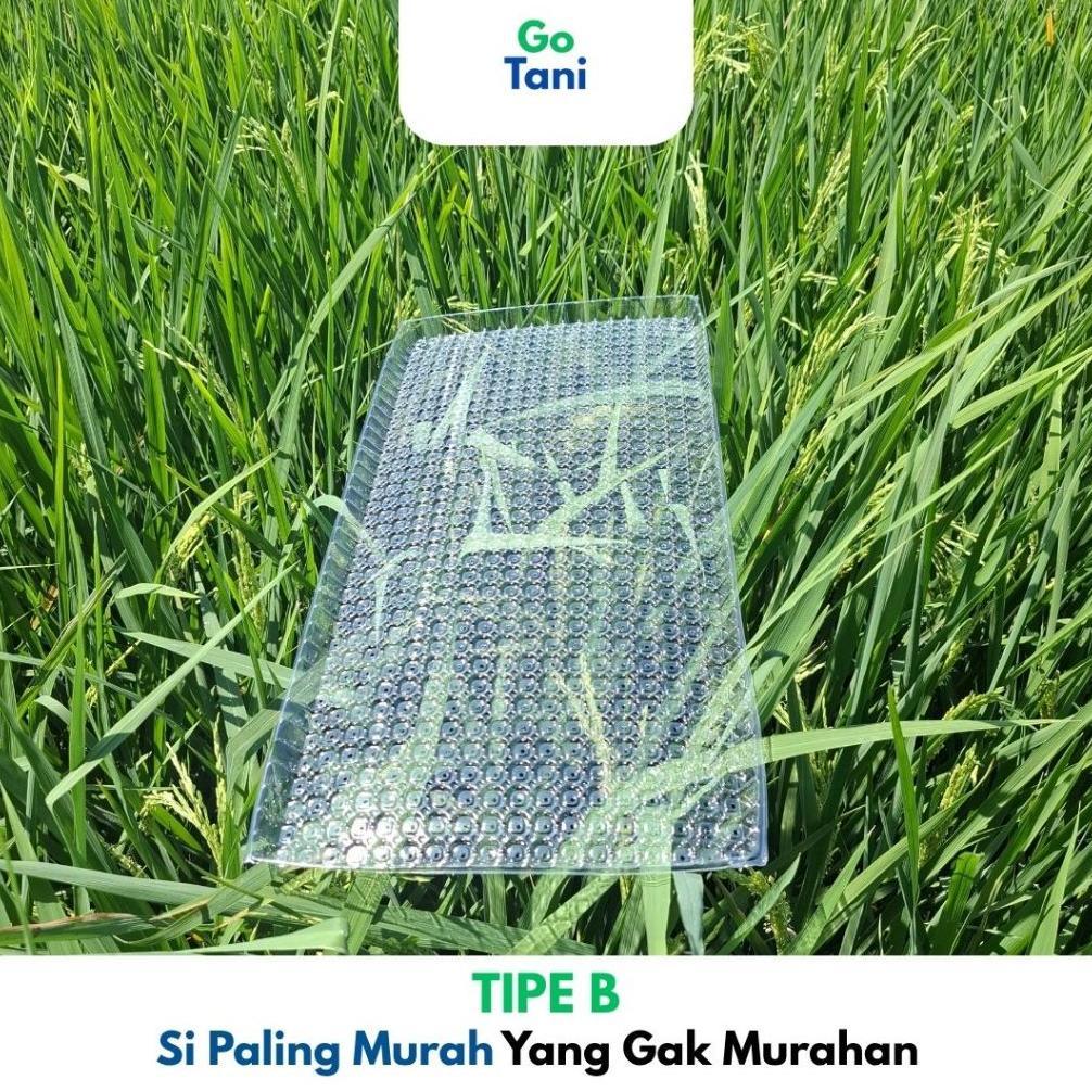Promo Cod ( Tipe B ) Tray Semai Benih Padi / Tray Semai Padi / Wadah Semai Padi / Tray Semai Paling 