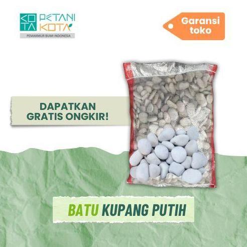 Batu Putih Sebesar Koin 500an Karungan +- 11 kilo