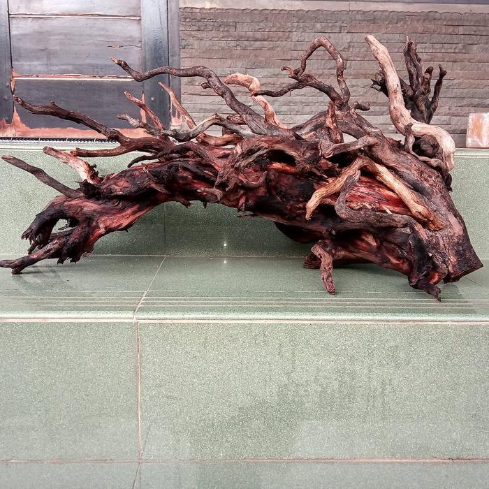 hardscape 60cm kayu cemara laut mix santigi