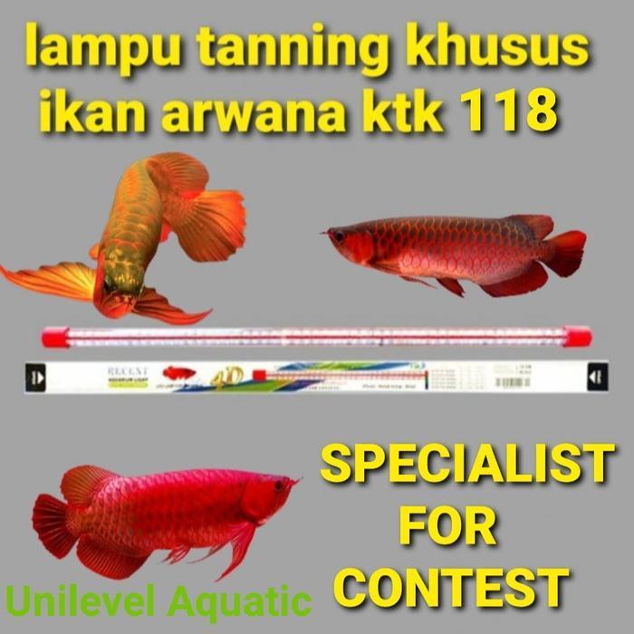 lampu tanning super megah 4D recent KTK 118 terlaris