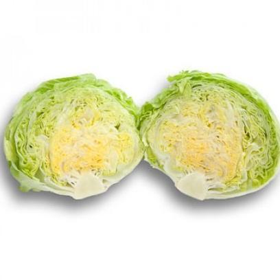 Benih Selada Bruma Rz Isi 1000 Pills Iceberg Lettuce Rijk Zwaan