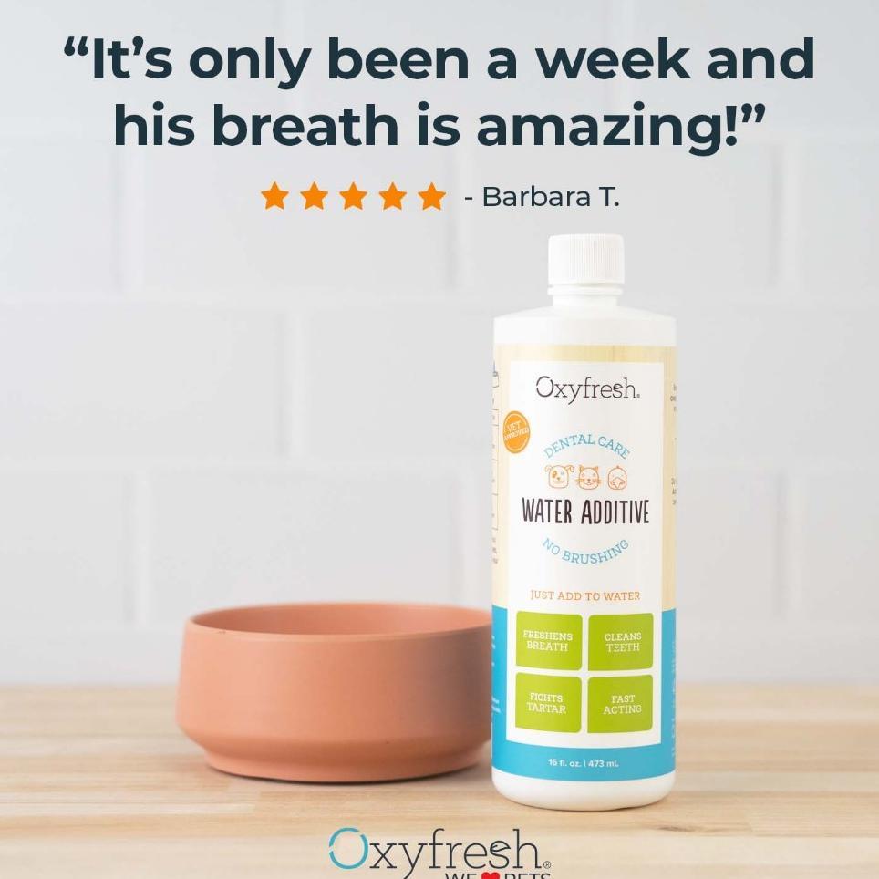 Oxyfresh Pet Water Additive 100Ml