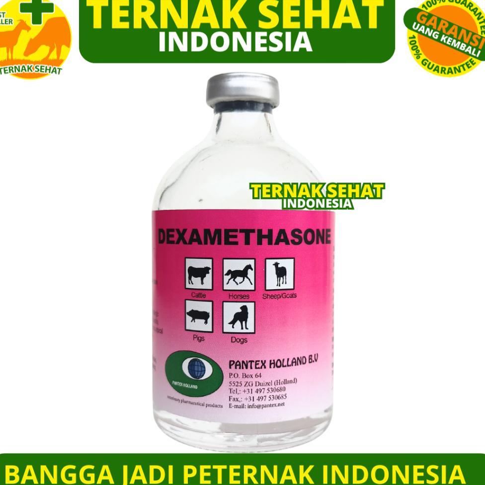 Pantex Dexamethasone 100 Ml - Obat Hewan Anti Radang Anti Inflamasi Ternak Sapi Kambing Anjing