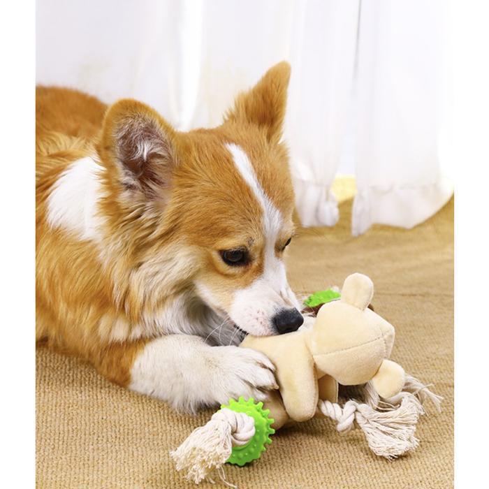 Mainan Gigit Anjing Lucu / Mainan Gigit Anjing Boneka Tali