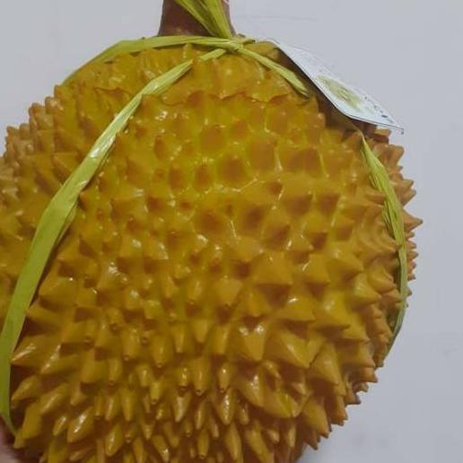 Buah Hias Buah Pajangan Durian Hias Replika Durian Buah Artifisial Buah Imitasi Hiasan Meja Dapur