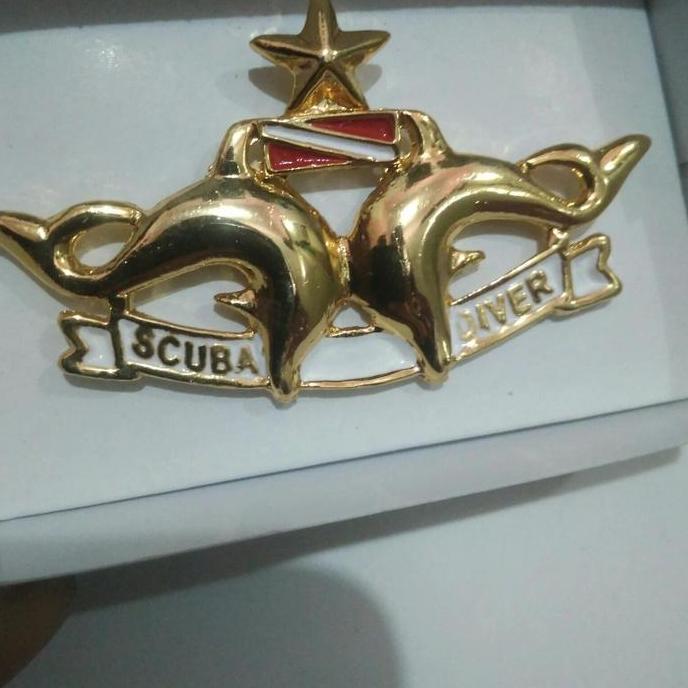 brevet wing scuba diver