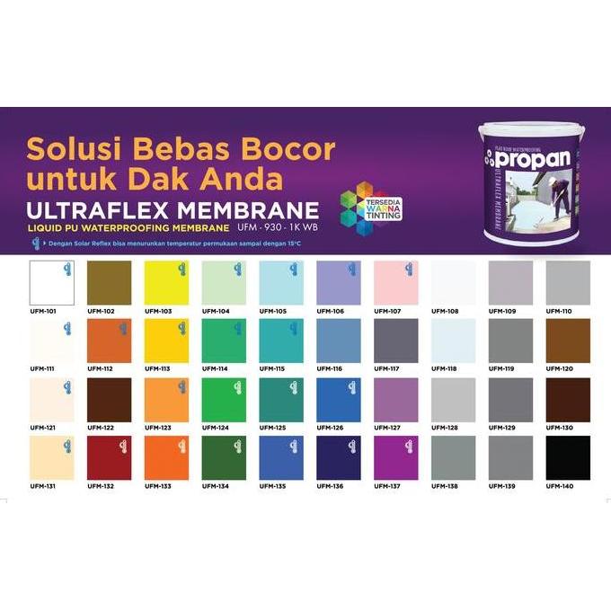 CAT PELAPIS ANTI BOCOR & KOLAM PROPAN ULTRAFLEX MEMBRANE TINTING 20KG