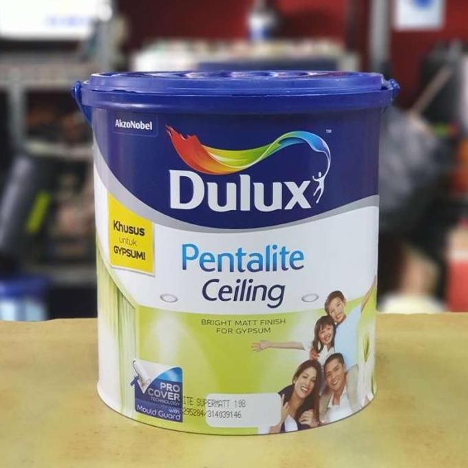 Dulux pentalite ceiling 25kg