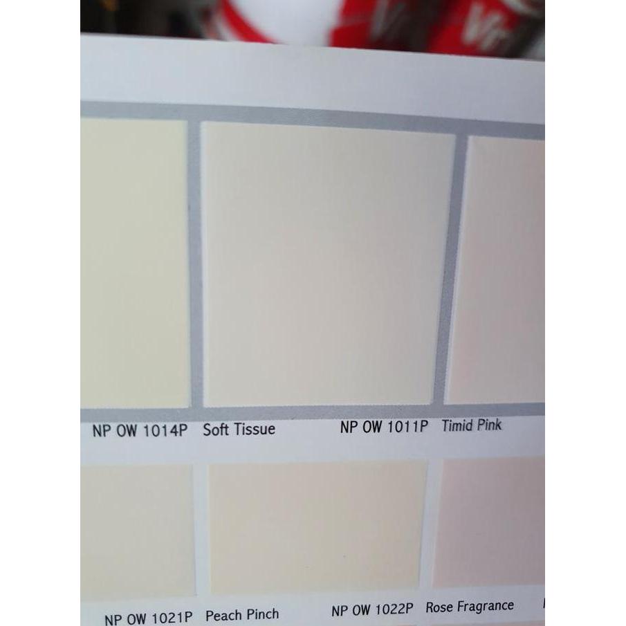 Cat Tembok Nippon Paint Satin Glo Soft Tissue / 20Kg / Khusus GOSEND