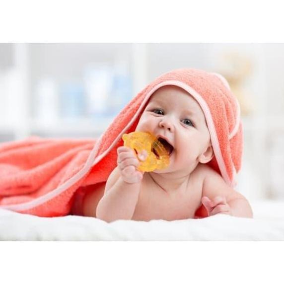 Gigitan Bayi DODO - DODO Water Filled Teether