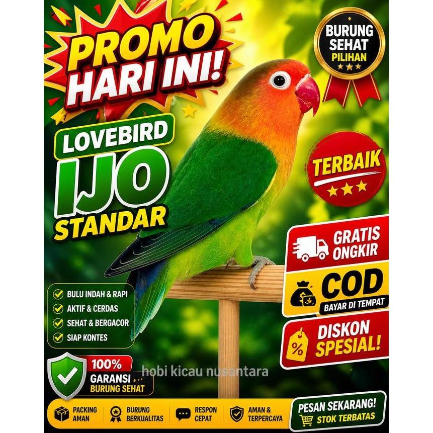 NEW KHUSUS GO-JEK BURUNG LOVEBIRD IJO STANDAR LOVE BIRD JOSAN ORI