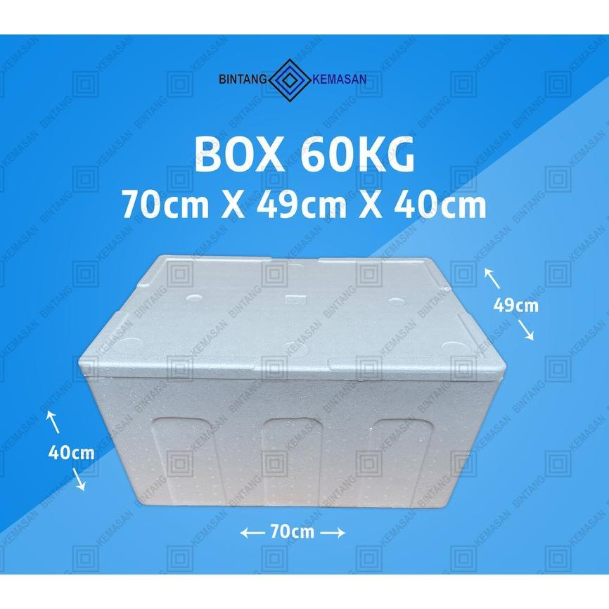 Box Styrofoam Gf 60Kg 70 X 49 X 40Cm/Box Ikan/Box Foam/Box Packing/Box Sterofoam